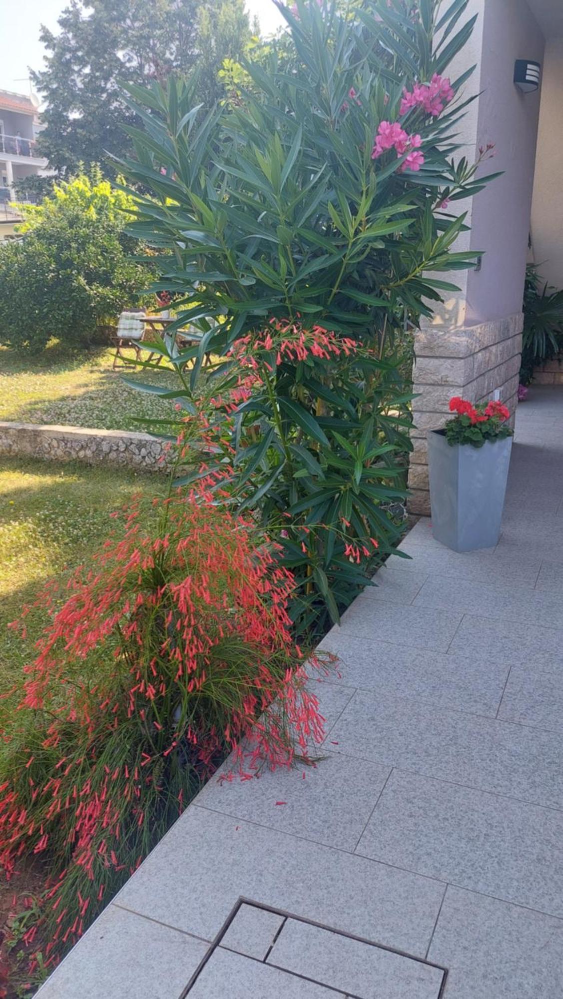 PUY Near The Beach מראה חיצוני תמונה